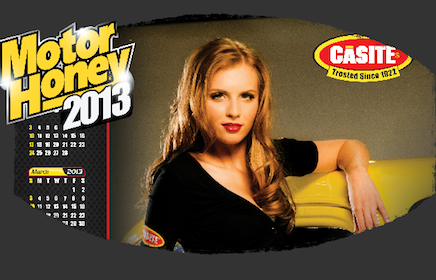 Free Makeup Samples  Surveys on 2013 Casite Miss Motor Honey Wall Calendar   Free Samples   Free Stuff